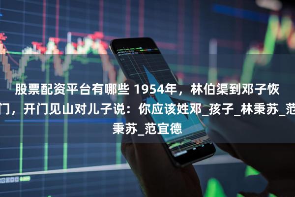 股票配资平台有哪些 1954年，林伯渠到邓子恢家串门，开门见山对儿子说：你应该姓邓_孩子_林秉苏_范宜德