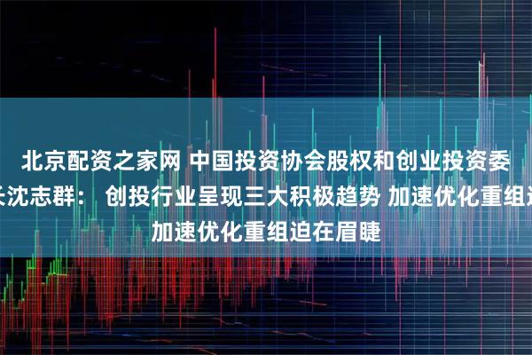 北京配资之家网 中国投资协会股权和创业投资委员会会长沈志群： 创投行业呈现三大积极趋势 加速优化重组迫在眉睫